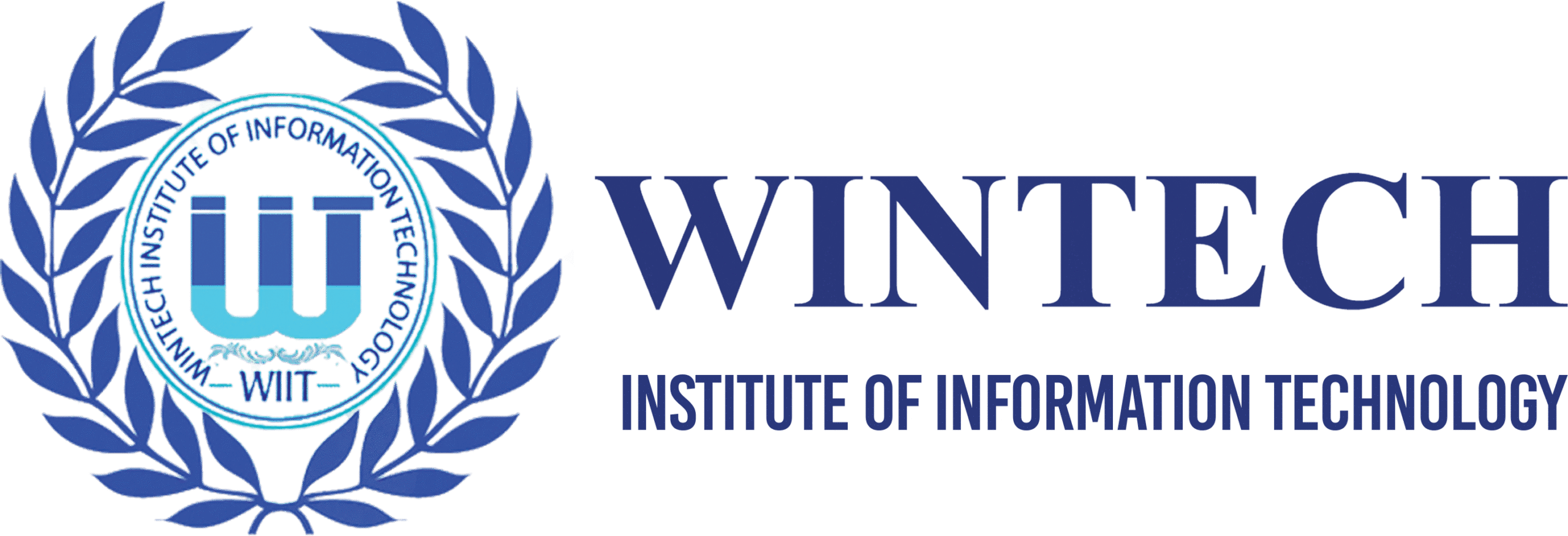 wintechiit.com